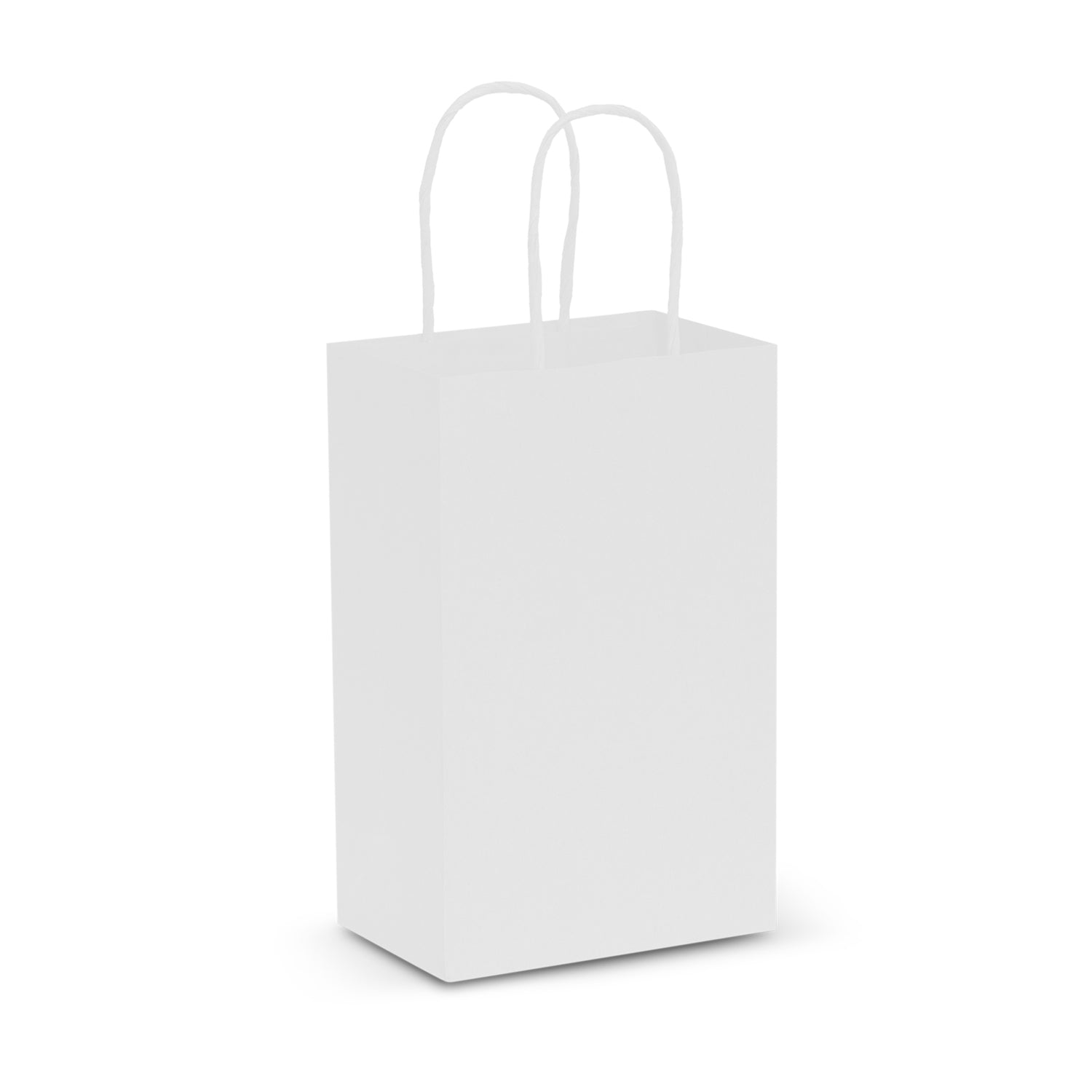 JC107582 Paper Carry Bag - Small