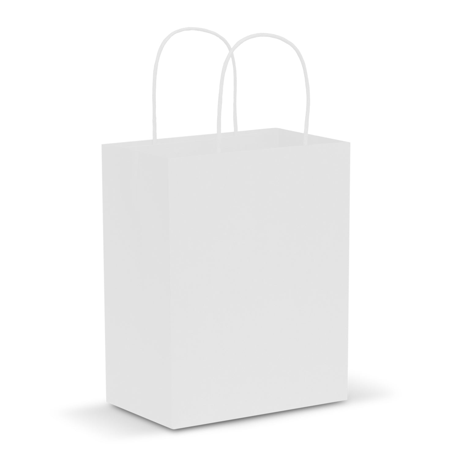 JC107586 Paper Carry Bag - Medium