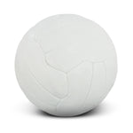 JC117255 Netball Pro (Indent)