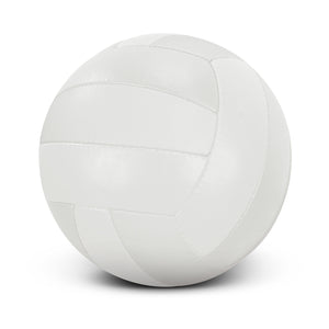 JC117256 Volleyball Pro (Indent)