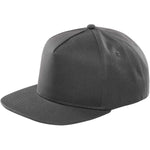 JCBRC-2 Newton Hat